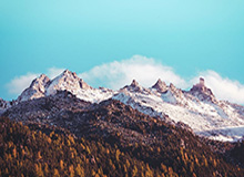 雷霆新帅出炉！35岁少帅上任 曾执教NBGL球队5年