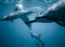 XingkongSports：在星空下训练，开启你的极限之旅